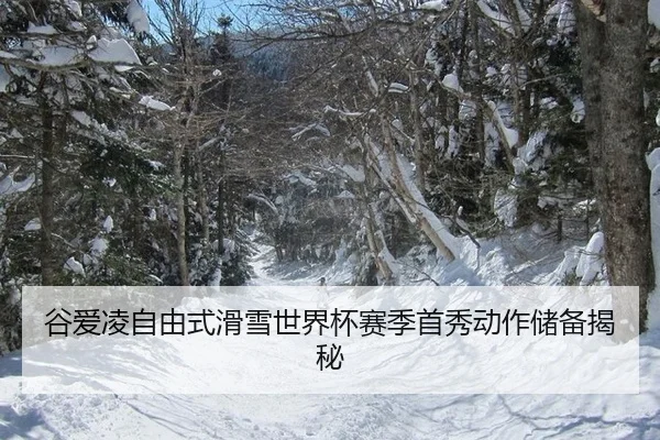 谷爱凌自由式滑雪世界杯赛季首秀动作储备揭秘