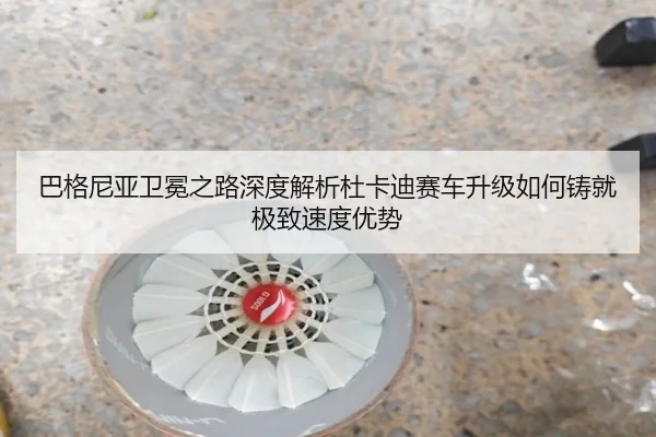 ba-ge-ni-ya-wei-mian-zhi-lu-shen-du-jie-xi-du-ka-di-sai-che-sheng-ji-ru-he-zhu-jiu-ji-zhi-su-du-you-shi-2-621.jpg