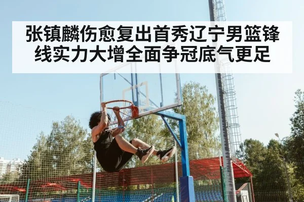 张镇麟伤愈复出首秀辽宁男篮锋线实力大增全面争冠底气更足