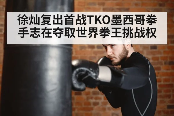 boxer training punching bag